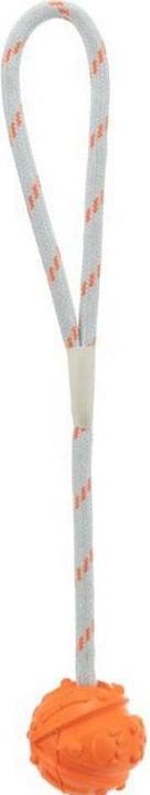 Actual product image Trixie Ball on a rope (Retrieval)