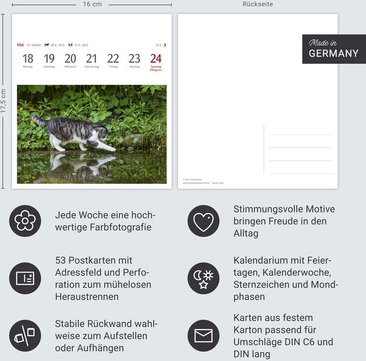 Actual product image Harenberg Katzen Postkartenkalender 2026 - Wochenkalender mit 53 Postkarten (Hardcover, German)