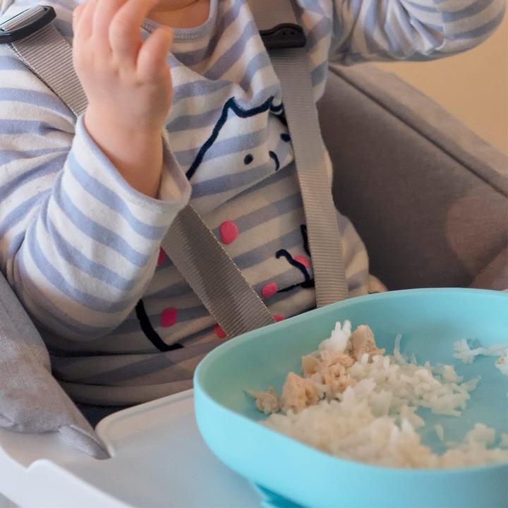 Actual product image Beaba Plate