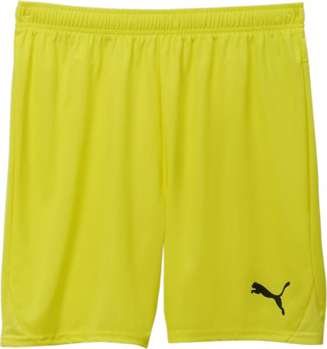 Actual product image Puma teamGOAL shorts (XXL)