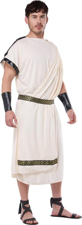 Actual product image Metamorph Antike Toga für Herren (M, L)