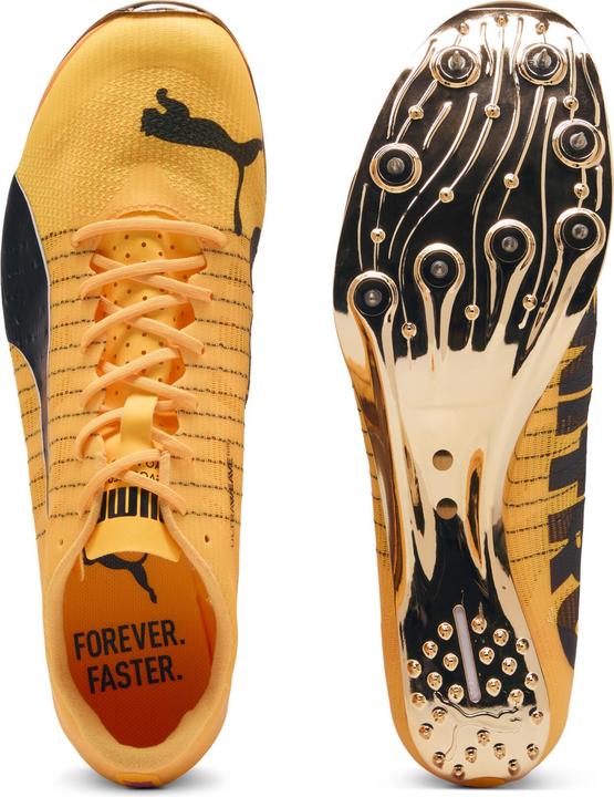 Produktbild Puma evoSPEED 400 NITRO Elite 2 (41)