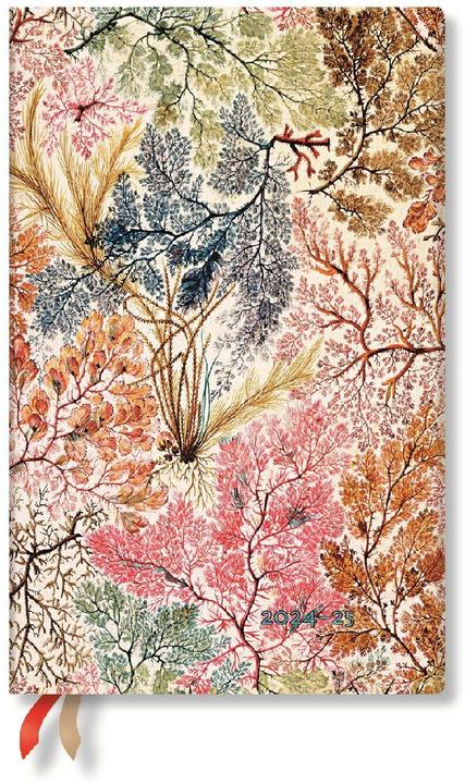 Image du produit Paperblanks Agenda Semainier Maxi 2024 / 2025 Anémone (13,5 x 21 cm, À rayures, Couverture souple)