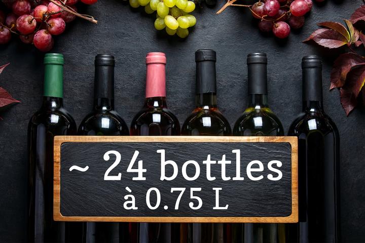 Image du produit Trisa Einbau-Weinkühlschrank 51 L