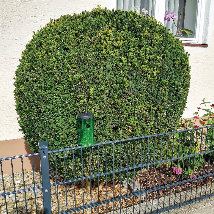 Productafbeelding Swissinno Buchsbaumzünsler-Falle inkl. 1x Pheromon