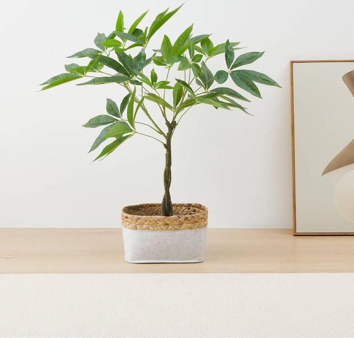 Immagine prodotto EGLO Kunstpflanze 61cm (61 cm)