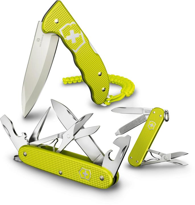 Immagine prodotto Victorinox Hunter Pro Alox