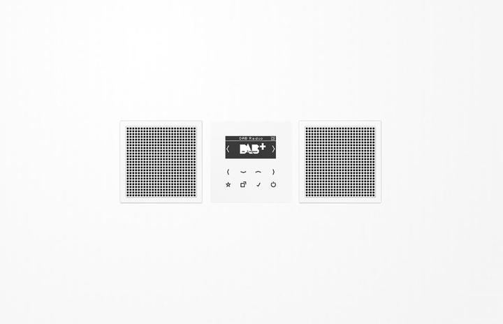 Actual product image JUNG DABLS2WW Smart Radio DAB+ (DAB+)