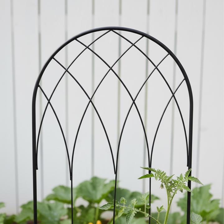 Actual product image Relaxdays 2x trellis (1 cm, 38 cm)