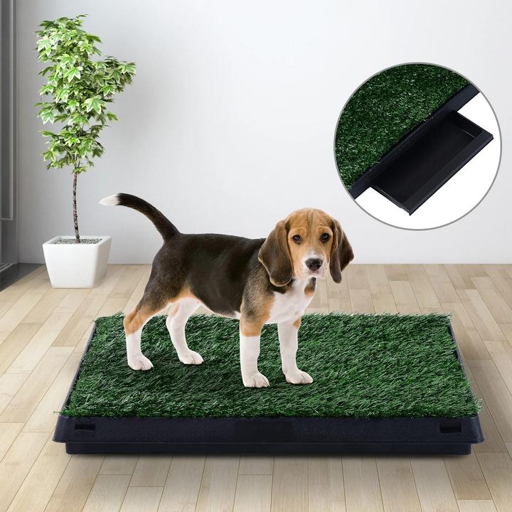 Image du produit Jamb Toilettes pour chiots Toilettes pour chiens (Chenil pour chiens)