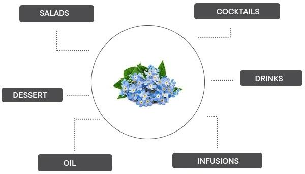 Actual product image Véritable Lingot Cinnamon Basil - Organic (Herb seeds)