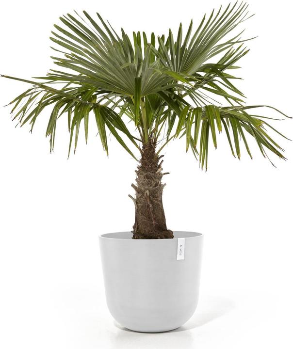 Immagine prodotto Ecopots Oslo