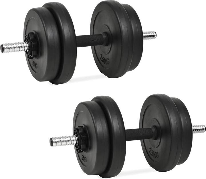 vidaXL Kurzhantel (1 x 20 kg)