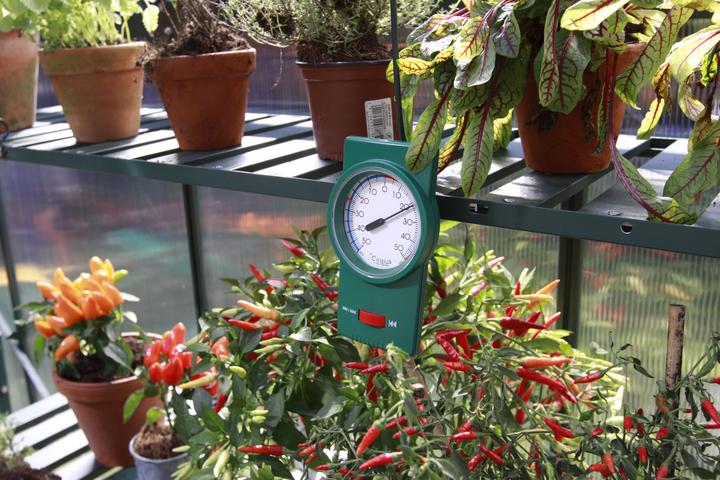 Vitavia Min-Max-Thermometer