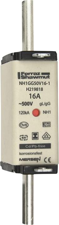 Fuse link (100 A)