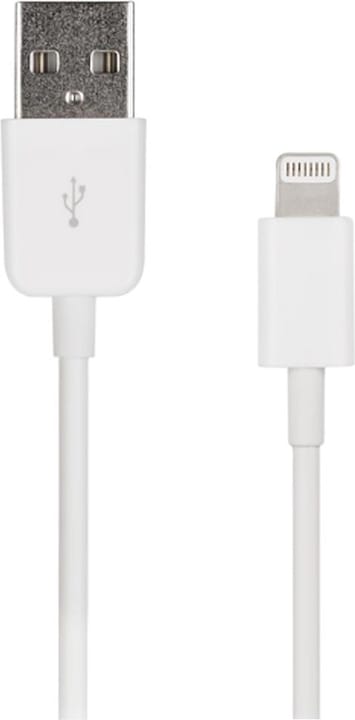 Produktbild Artwizz USB Kabel für Apple (1 m, USB 2.0)