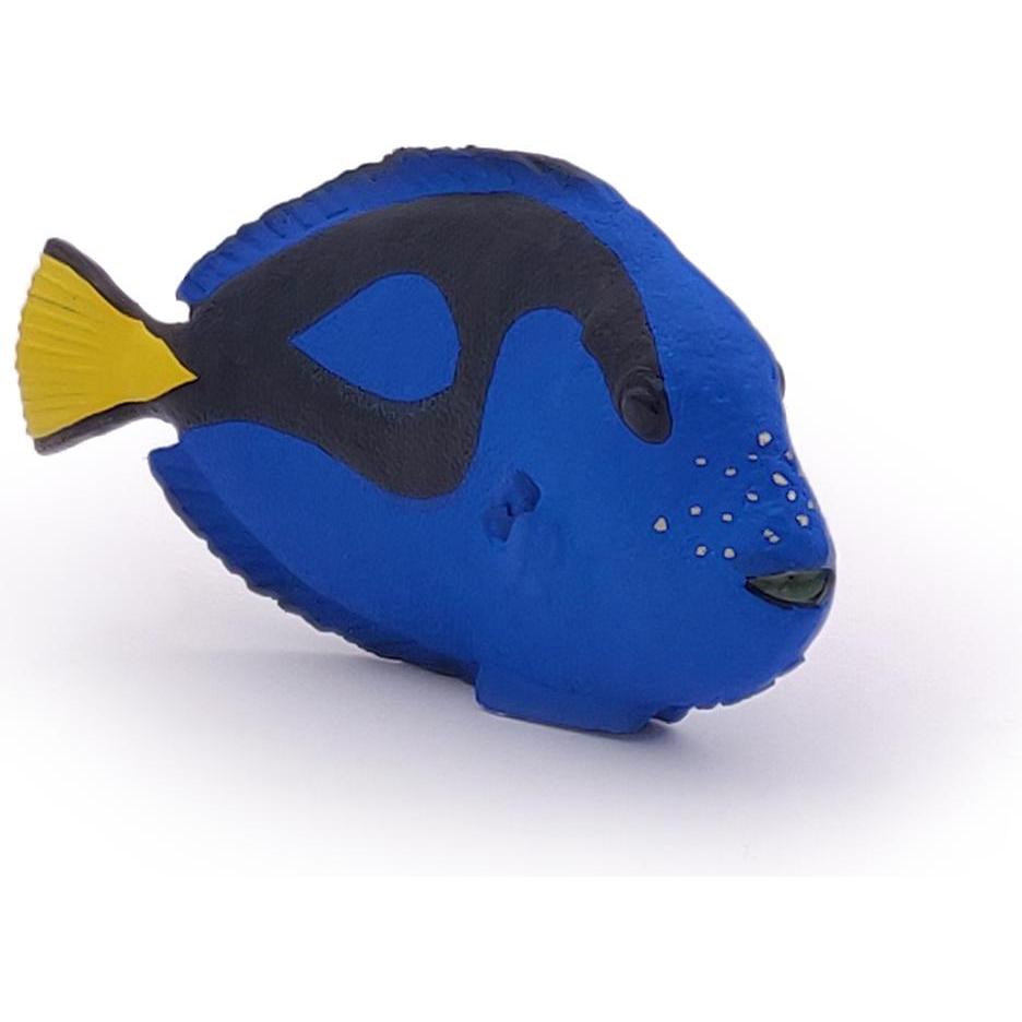 Thumbnail - Papo Doktorfisch