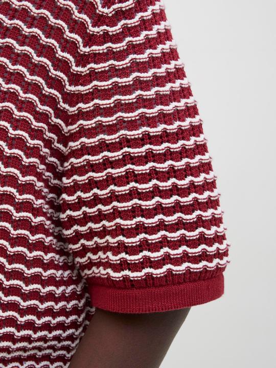 Image du produit Jack & Jones Jordia Knit Ss Polo Styd Ss25 (XL)
