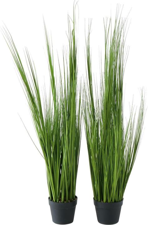 Immagine prodotto Boltze Home Topfpflanze (120 cm)
