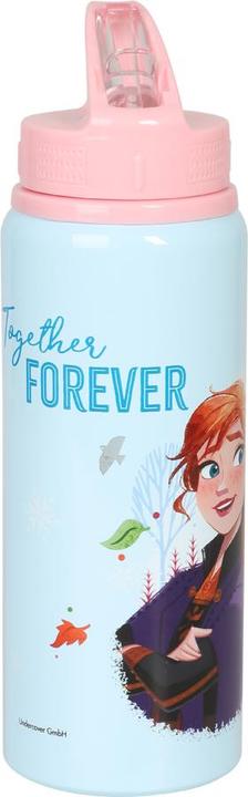 Produktbild Disney Frozen - Aluminium Sport Water Bottle 730 ML (68690) (0.73 l)
