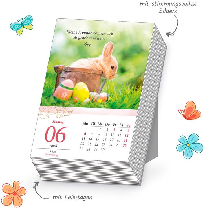 Produktbild GedankenundSprüche2026