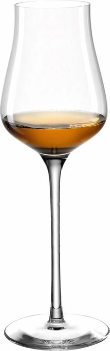 Actual product image Leonardo Grappa glass Brunelli 210 ml, 6 pieces, transparent (21 cl, 6 Glasses, Red wine glasses)