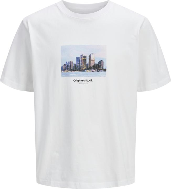 Actual product image Jack & Jones Jorvesterbro Picture Tee Ss Crew Neck Sn (M)