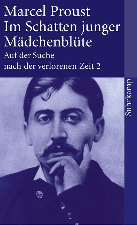 Produktbild Auf der Suche nach der verlorenen Zeit. Frankfurter Ausgabe (Deutsch, Marcel Proust, 2011)