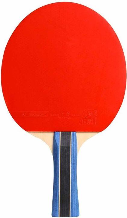 Actual product image Cornilleau Racket Sport 200