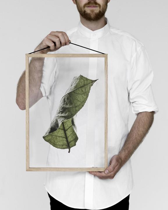 Image du produit Moebe Cadre (42 x 29 cm)