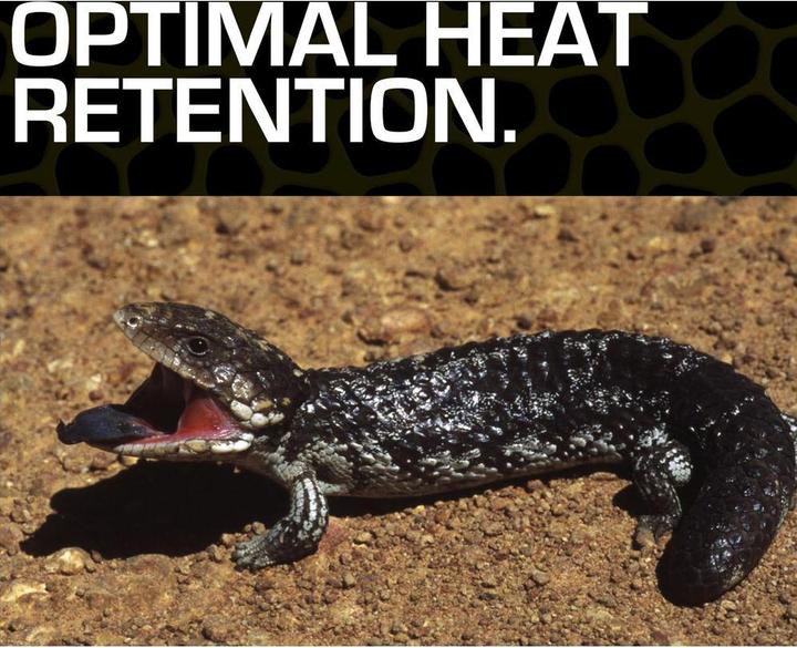 Actual product image Exo Terra Desert