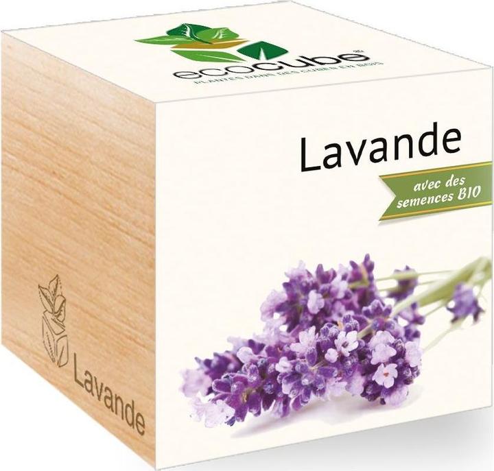 Actual product image Feel Green Ecocube (Flower seeds)