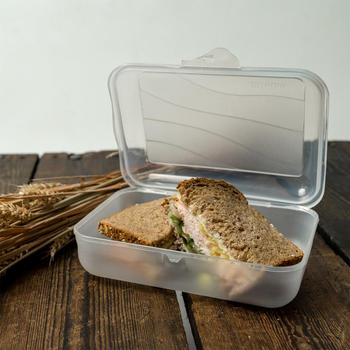 Actual product image Rotho Storage box