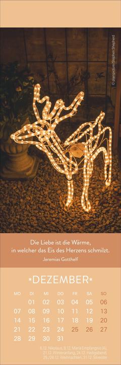 Produktbild Gute Gedanken Lesezeichen & Kalender 2026