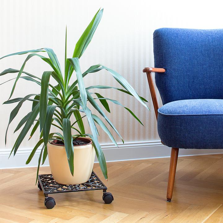 Produktbild Relaxdays Pflanzenroller