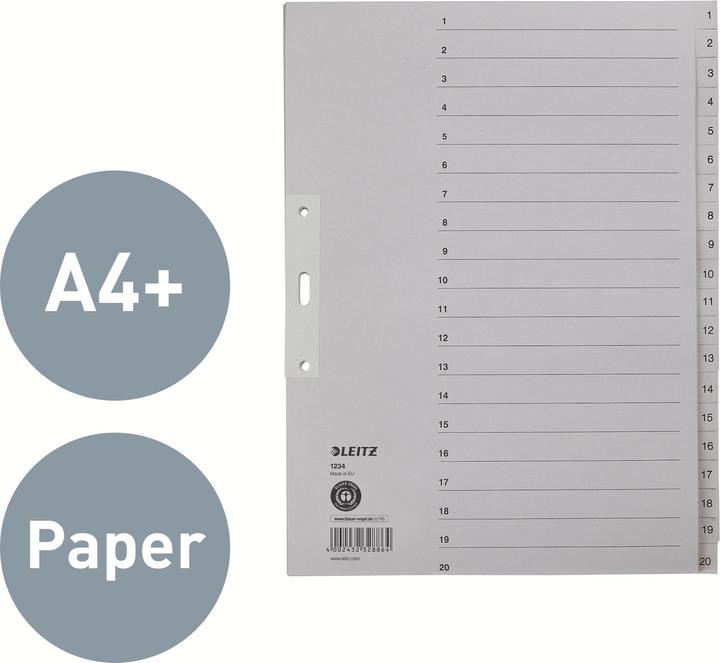 Produktbild Leitz Register Papier