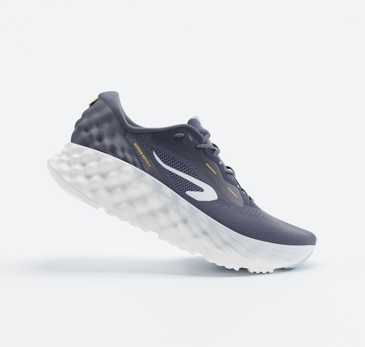 Image du produit Kiprun Chaussures de course à pied KS900 2 pour hommes - bleu (43)