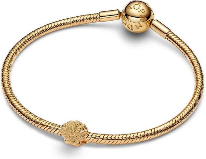 Image du produit Pandora Mini breloque coquillage texturé