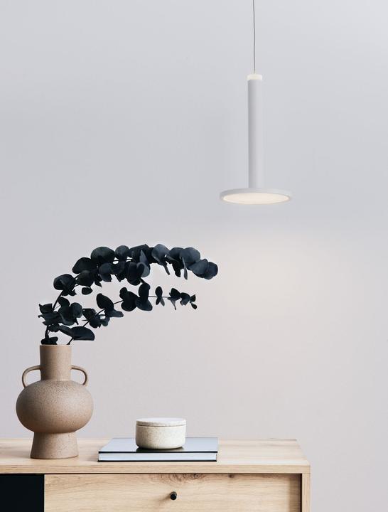 Image du produit Nova Luce Luminaires suspendus (517 lm)