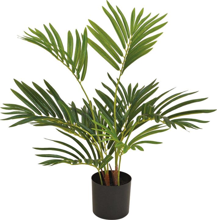 G. Wurm Kunstpflanze Farnpalme Grün (H) 65cm (45 cm)