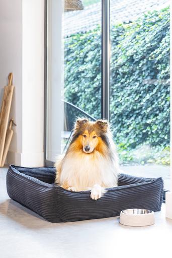 Actual product image Designed by Lotte Ribbed (Dog)