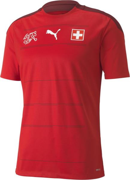 Puma SFV Home Replica (L)