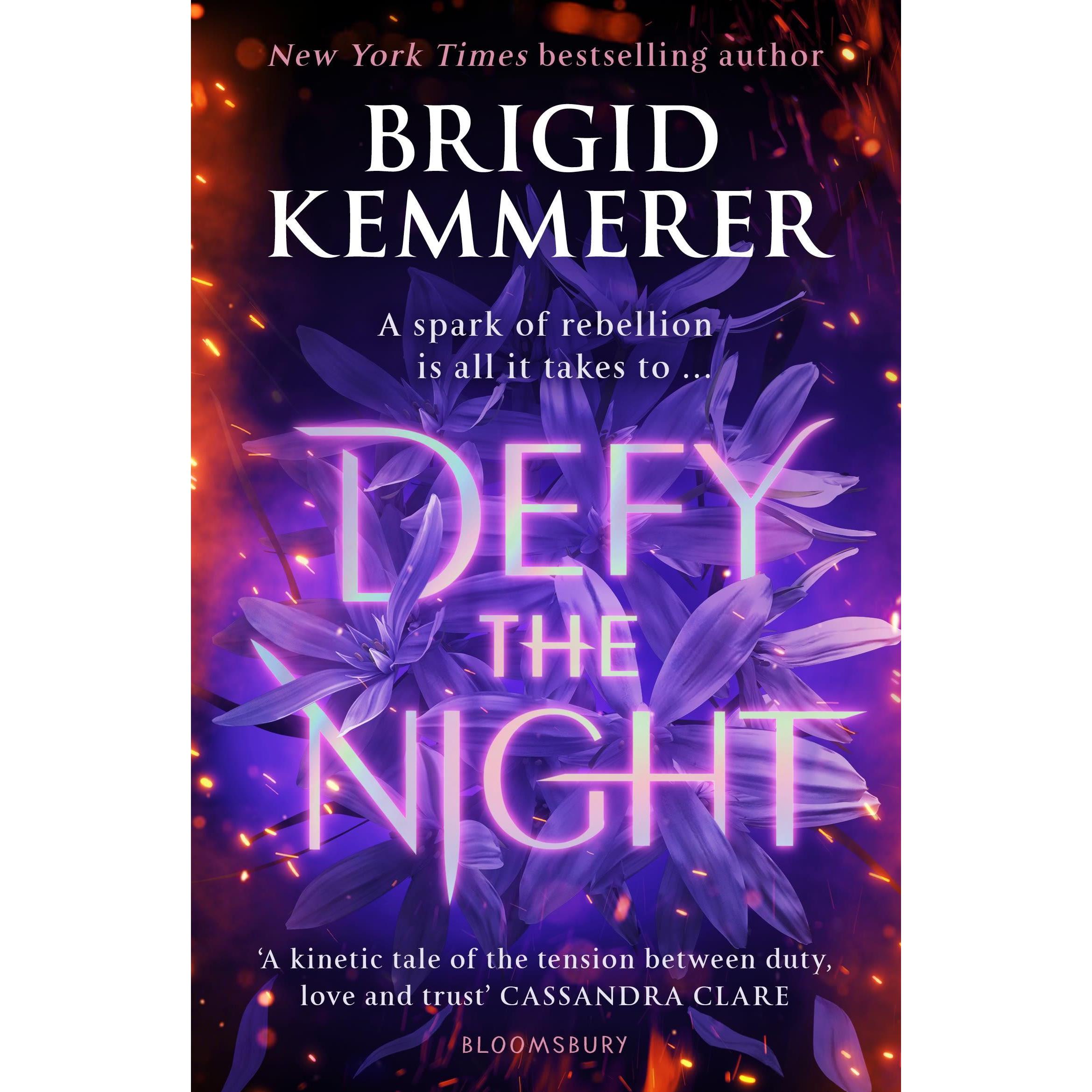 Defy the Night, Belletristik von Brigid Kemmerer