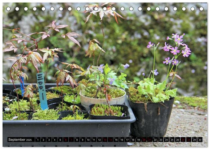 Actual product image Japan - Details (Tischkalender 2025 DIN A5 quer), Monatskalender (A5, German)