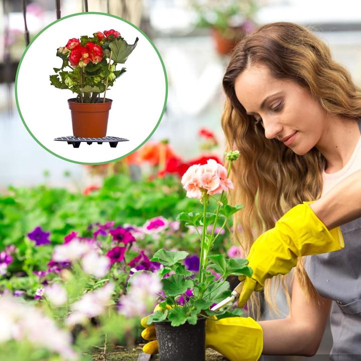 Produktbild Toothbace Blumentopfhalter-Set