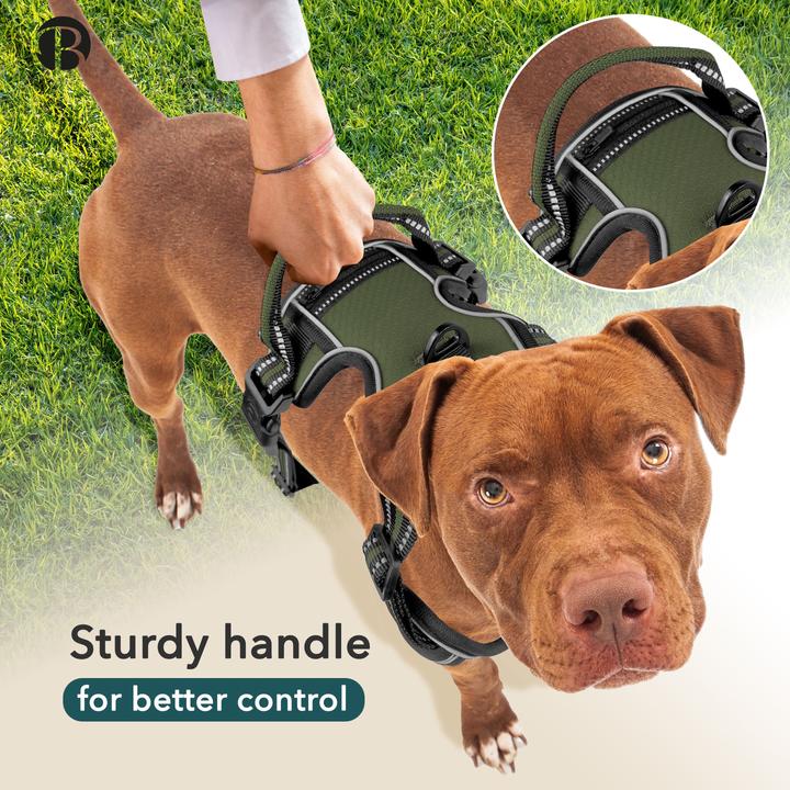 Produktbild Bluzelle Hundegeschirr Kleine Hunde, - XS, mit Griff & Tasche, Reflektor Anti-Zug (XS, Hund, Spazieren)