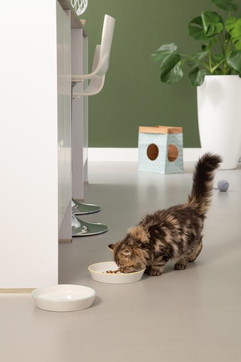 Produktbild Beeztees Zina