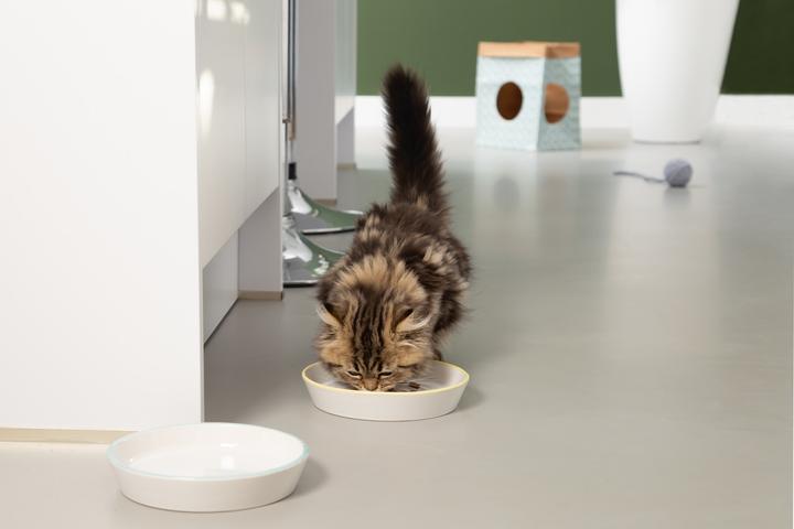 Produktbild Beeztees Zina