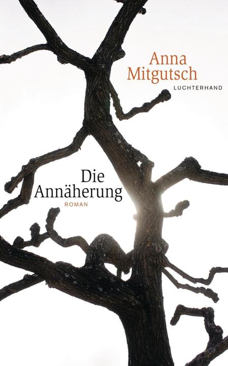 Produktbild Die Annäherung (Deutsch, Anna Mitgutsch, 2016)