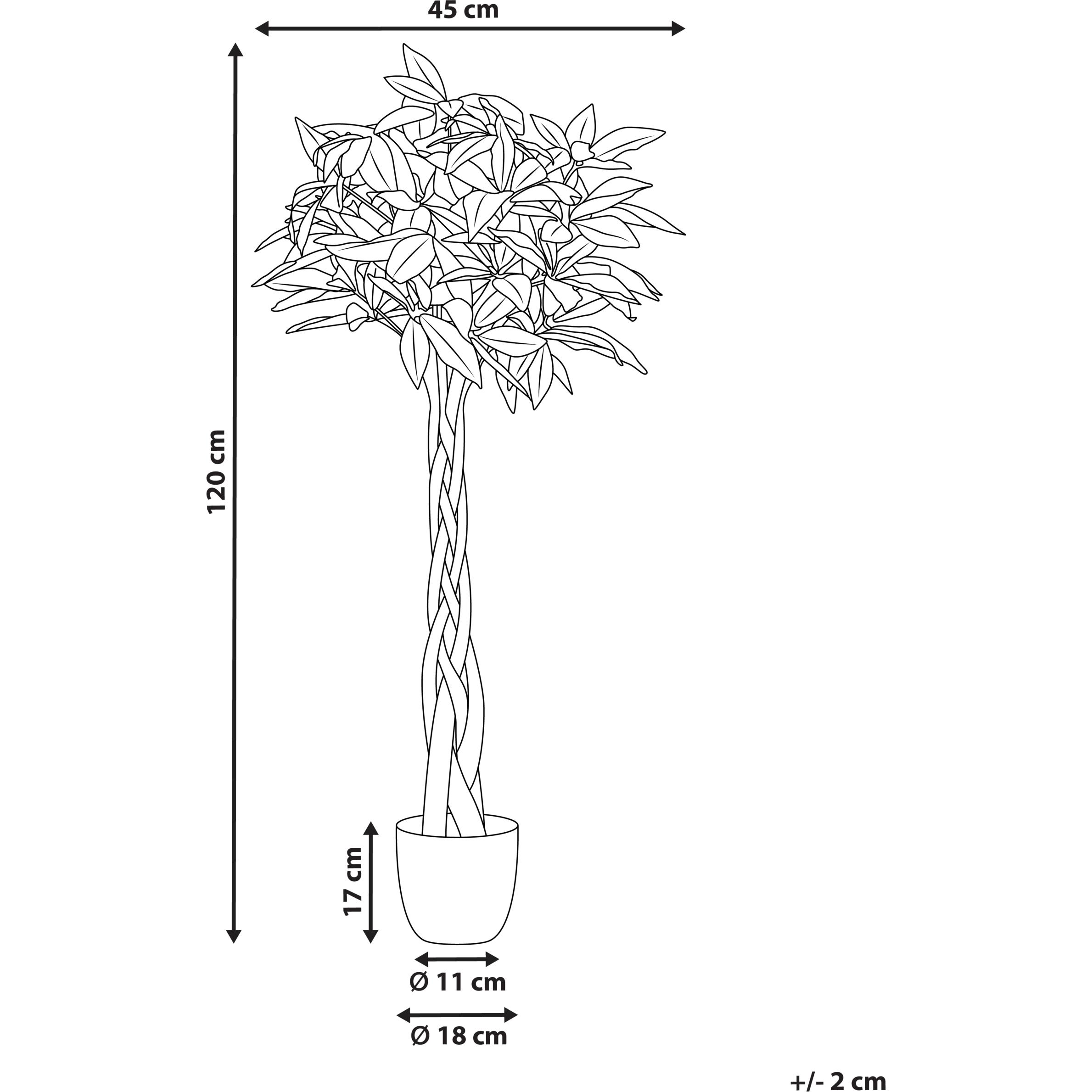 Thumbnail - Beliani, Kunstpflanzen, Pachira Tree (120 cm)